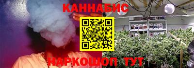 дживик Пенза