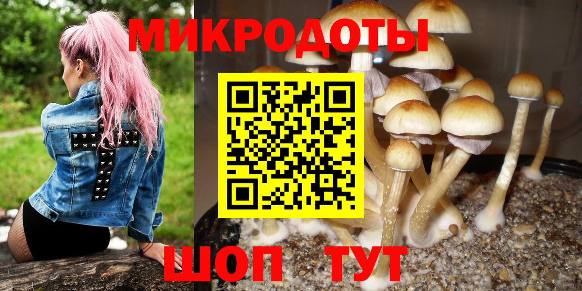 Галлюциногенные грибы Psilocybine cubensis  Вход с VPN  Сертолово 
