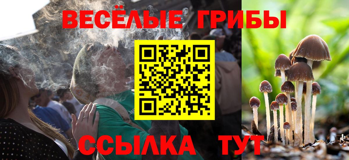 Псилоцибиновые грибы Magic Shrooms Сертолово